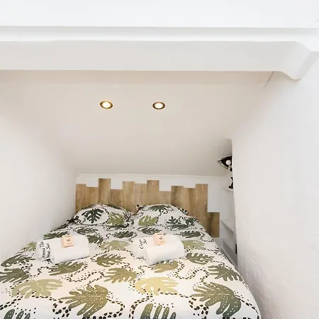 Cosy & Design A Cote Du Palais Et Des Plages *